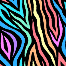 Load image into Gallery viewer, Swim Print | Rainbow Zebra
