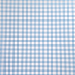 Swim Print | Gingham - Sky