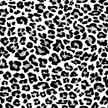 Swim Print | Grey Leopard