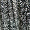 Sheer | Mesh Print - Black Leopard