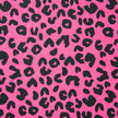 Athletic Print | Pink Cheetah