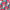 Athletic Print | Watercolour Swirls - Fabric + Flow Textile Co.