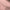Coating | Rose Blush Wool Touch - Fabric + Flow Textile Co.