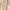 Jacquard | Desert Pink Dusk - Fabric + Flow Textile Co.