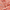 Woven | Viscose - Pink Static