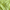 Ribbed Knit | Poly - Chartreuse - Fabric + Flow Textile Co.
