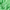 Ribbed Knit | Poly - Key Lime - Fabric + Flow Textile Co.