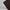 Ribbing Tubular | Cotton - Dark Cocoa - Fabric + Flow Textile Co.