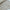 Ribbing Tubular | Cotton - Sandstone