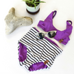 Swim Basic Solid | Electric Purple