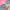 Swim Kit | Cheetah Girls + Rose Pink - Fabric + Flow Textile Co.
