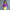 Swim Kit | Electric Palm + Electric Yellow - Fabric + Flow Textile Co.