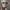 Swim Kit | Floral Rush + Navy - Fabric + Flow Textile Co.