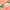 Swim Kit | Great Barrier Leaf + Electric Peach - Fabric + Flow Textile Co.