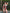 Swim Kit | Lipstick Jungle + Persimmon - Fabric + Flow Textile Co.