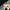 Swim Kit | Teal Pond + Jet Black - Fabric + Flow Textile Co.