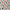 Swim Print | Gilded Flora - Fabric + Flow Textile Co.
