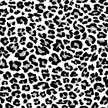 Swim Print | Grey Leopard - Fabric + Flow Textile Co.