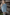 Velour Knit | Sage - Fabric + Flow Textile Co.