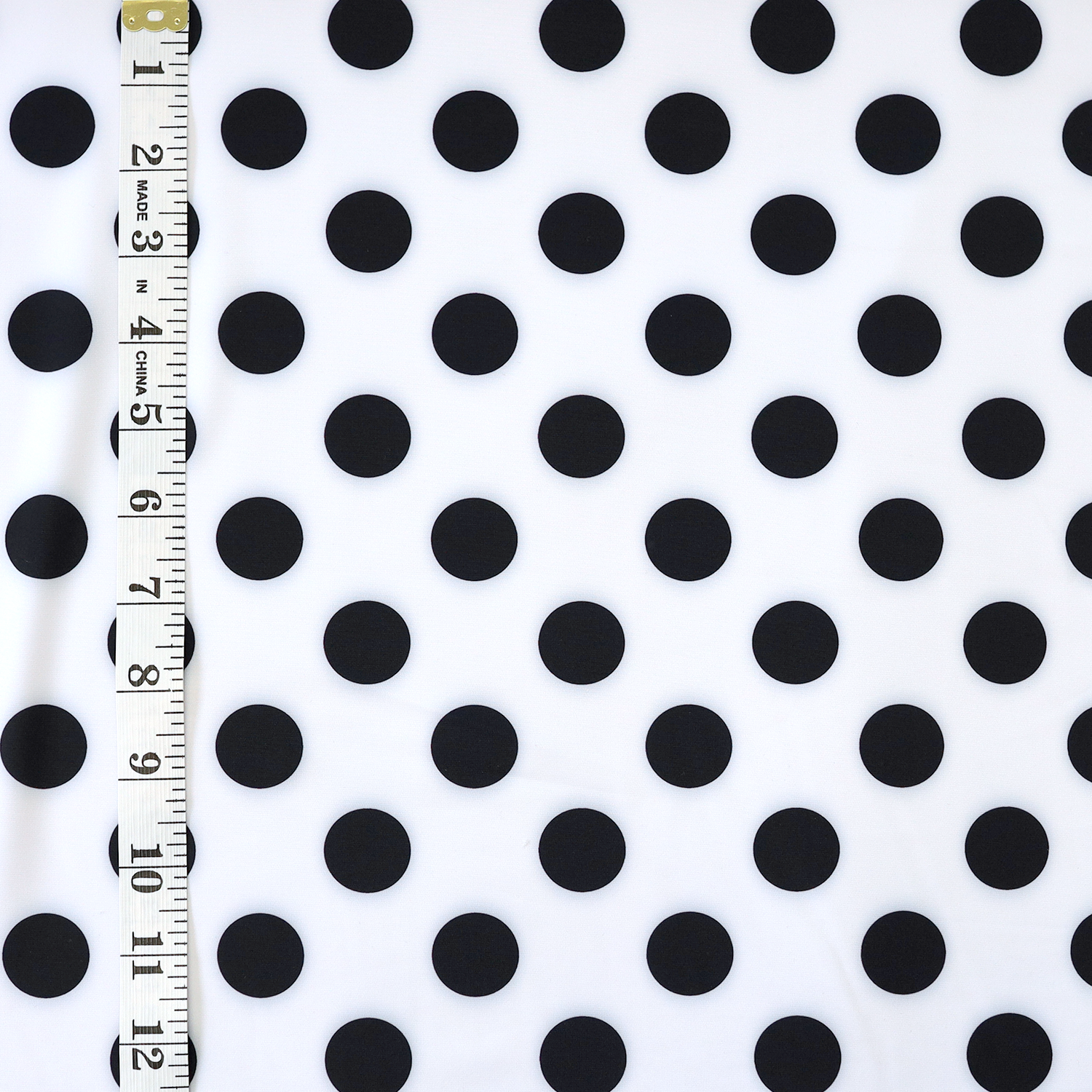 Swim Basic Dots | White Polka Dot