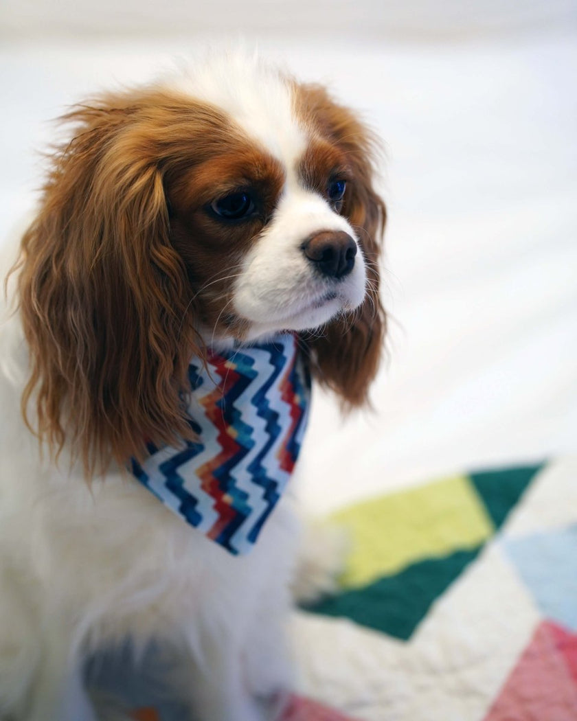 Cotton Poplin Print | Appalachian Abstract R3G1 - Fabric + Flow Textile Co.