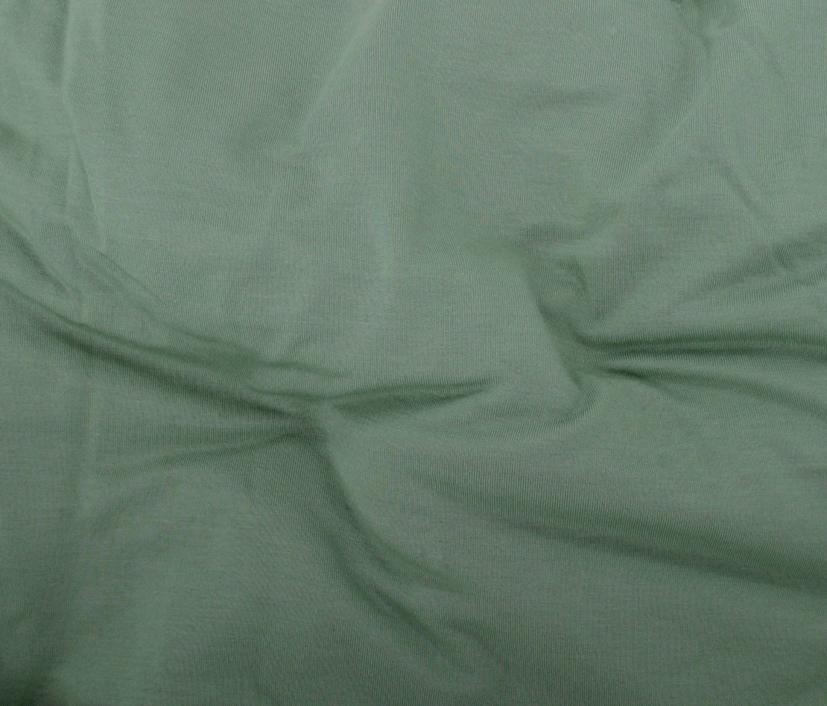 French Terry | Bamboo - Sage - Fabric + Flow Textile Co.