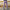 Jersey | Lilac Border R7 - 10 - Fabric + Flow Textile Co.