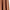 Jersey | Merino - Chestnut - Fabric + Flow Textile Co.
