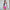 Swim Basic Solid | Hot Pink - Fabric + Flow Textile Co.