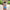 Swim Kit | Electric Palm + Mini Stripe - Fabric + Flow Textile Co.